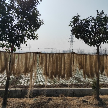 热卖江苏徐州刘井粉丝因生产粉丝而出名被评为非物质文化遗产