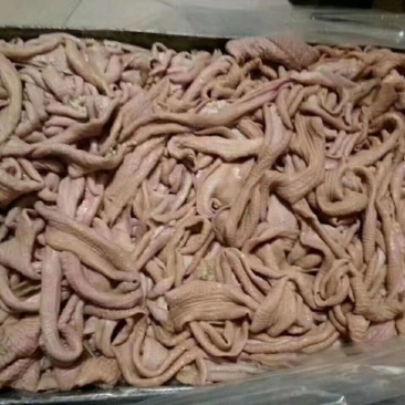 半成品大肠小肠