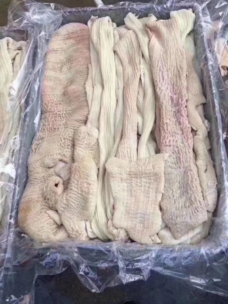 半成品大肠小肠
