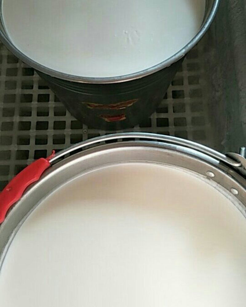 现挤鲜羊奶