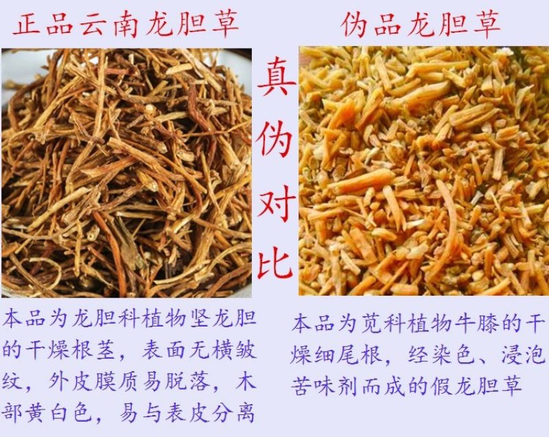 龙胆草产地直销大货龙胆草规格齐全长期药厂供货