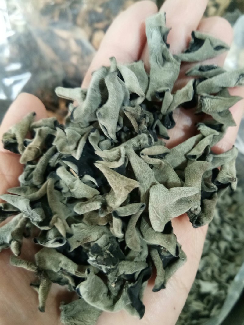 东北黑木耳秋耳精选无根肉质丰厚胶原满满一斤包邮