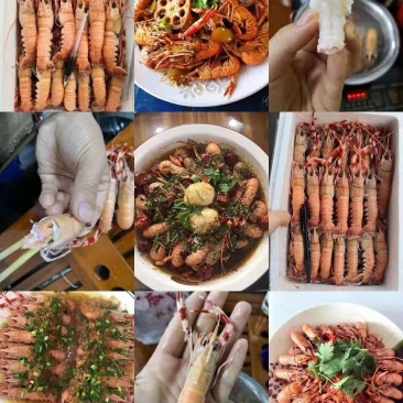 海龙虾，天然海鲜。质量保证。麻辣爆款。冷链物流全国配送。