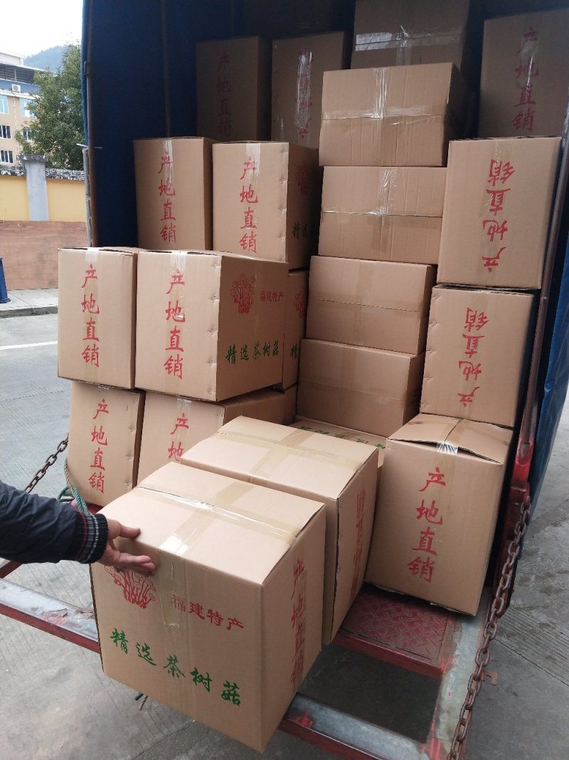 古田5号茶树菇不开伞量大运费商议请按购买数量拍否则不发货