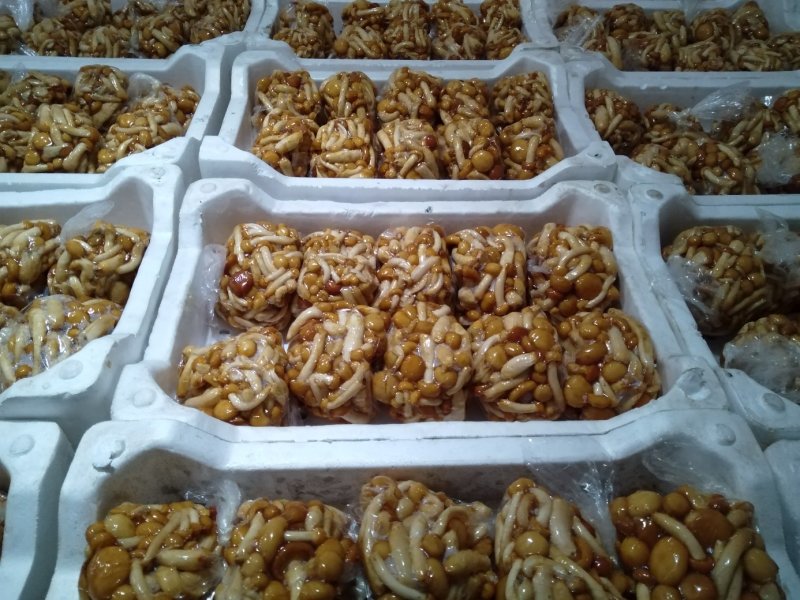 滑子菇