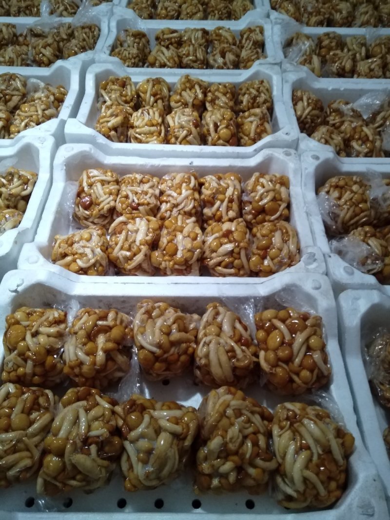 滑子菇