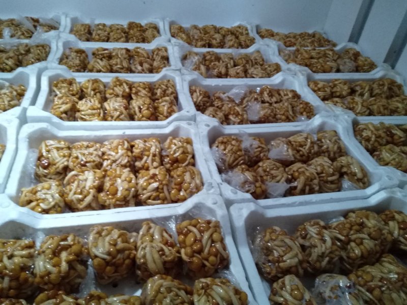 滑子菇