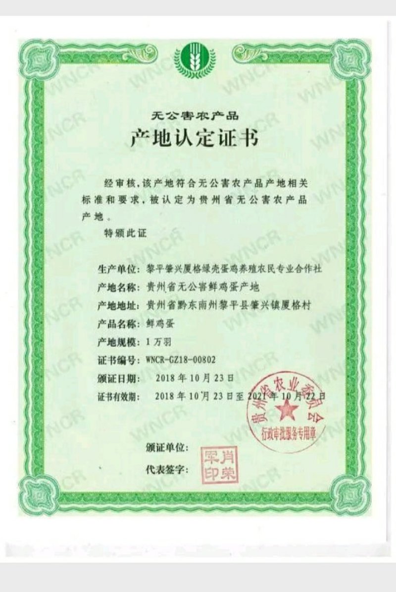 爬树乌鸡走地鸡月子鸡农户五谷杂粮散养贵州黔东南