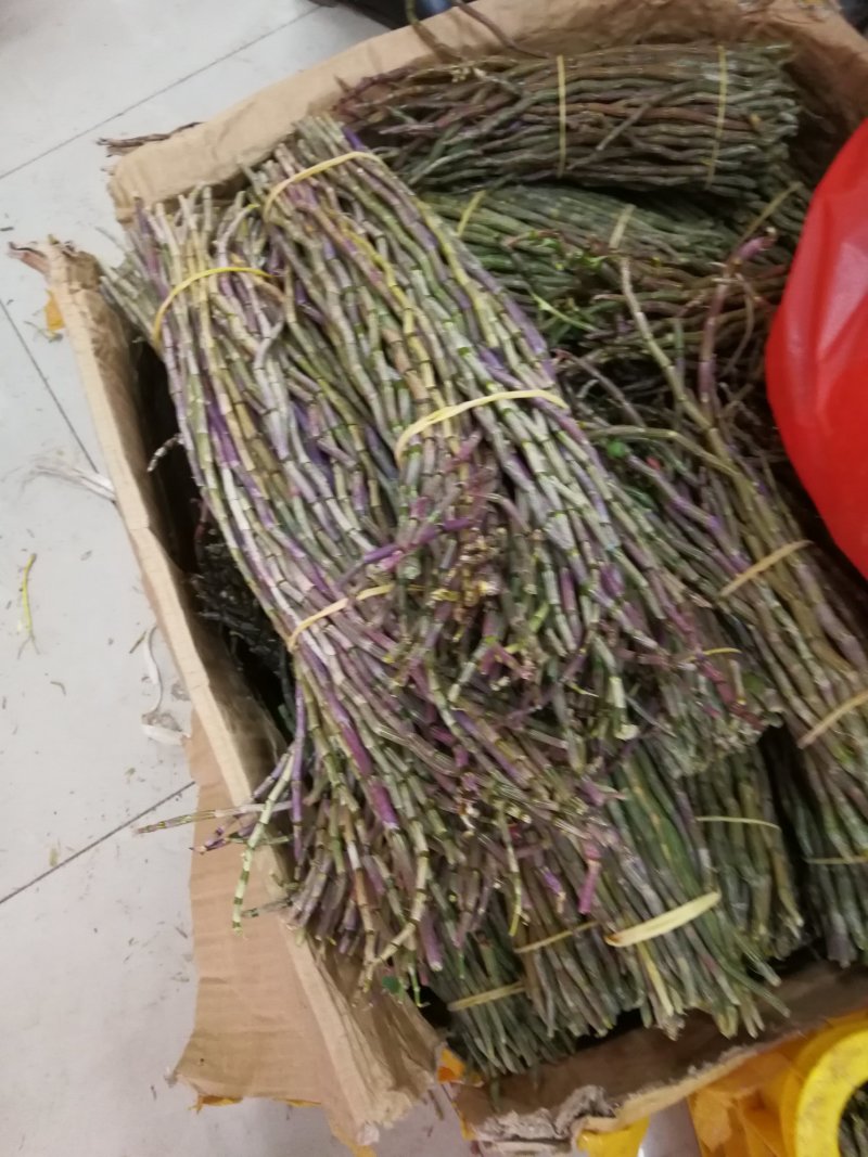 铁皮石斛鲜条新鲜铁皮石斛条带胶质煲汤