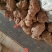 野生鲜何首乌可煲汤可泡酒可入药