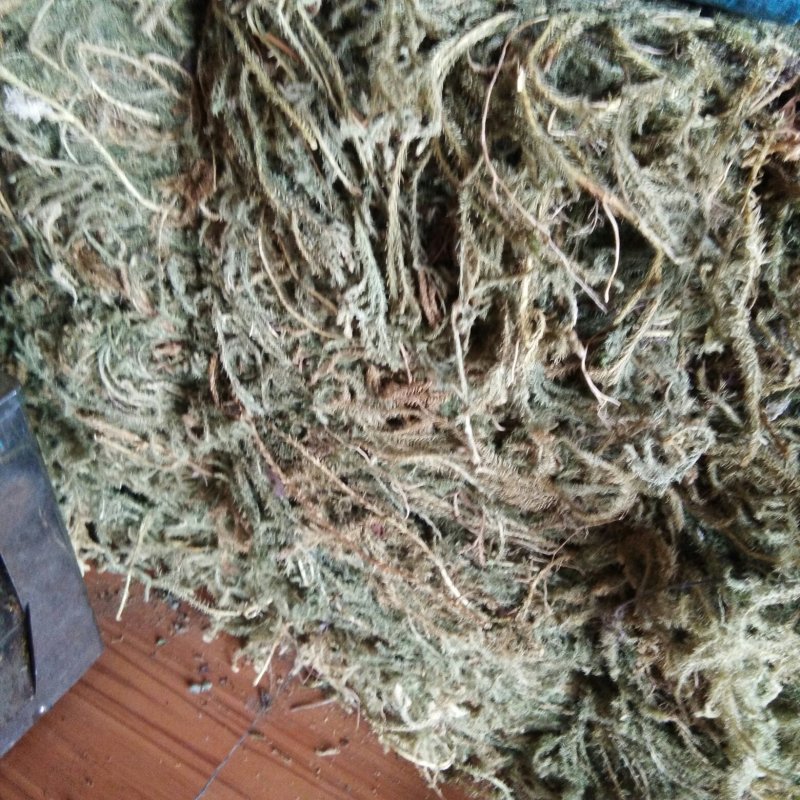 蜘蛛香，干货水洗无泥，带根无须根有货，欢迎订购