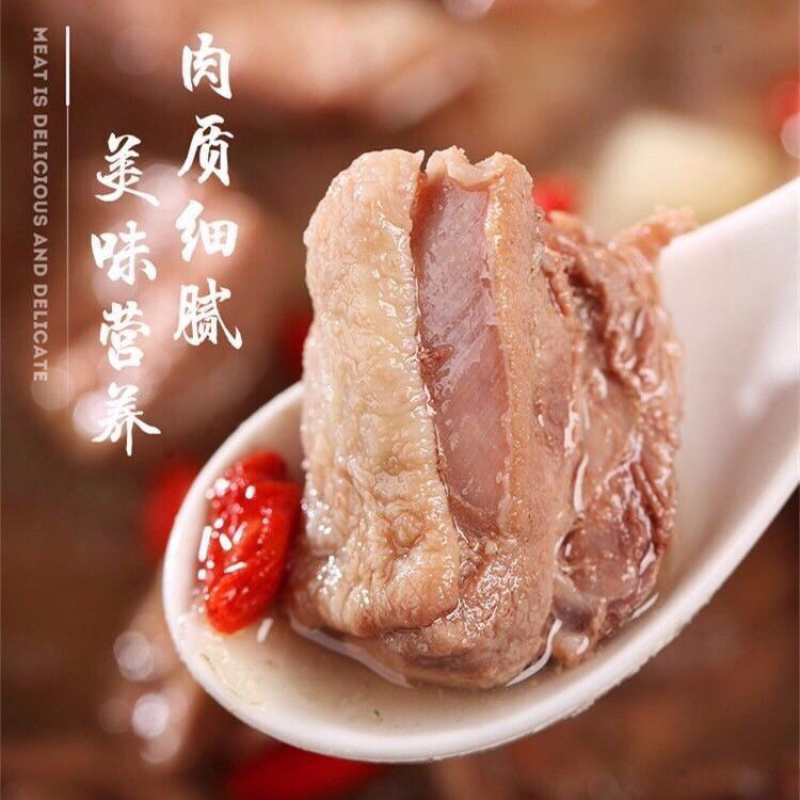 农家鸭子活体土鸭新鲜鸭子老鸭鸭肉麻鸭