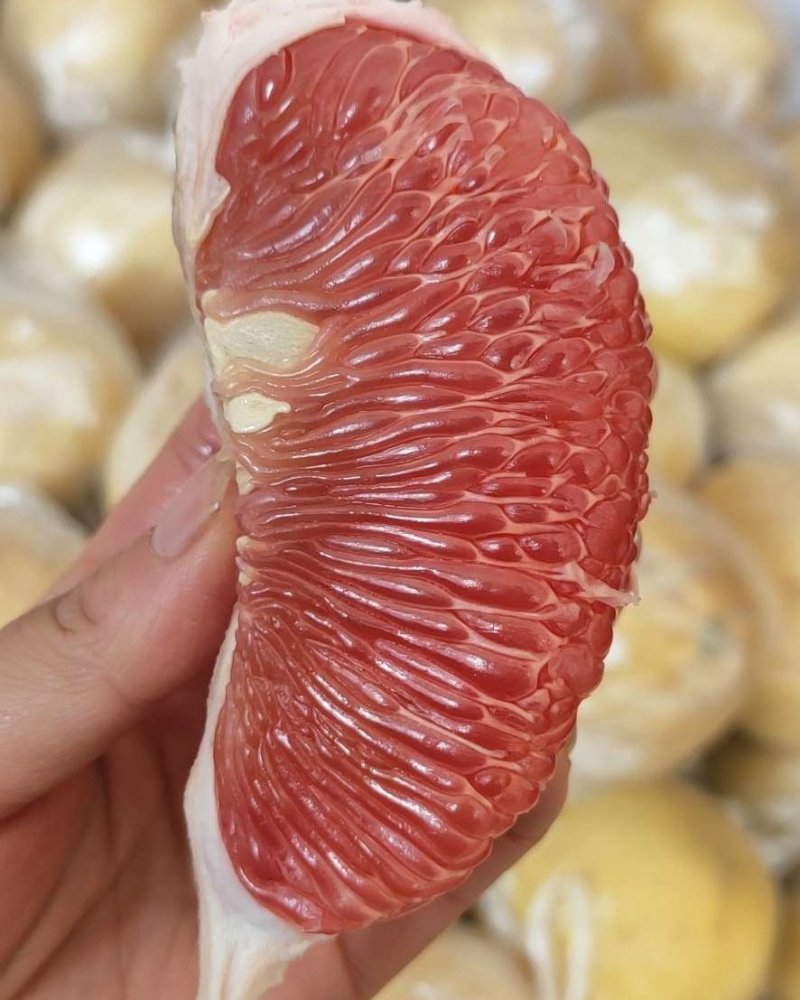 【有好货】江西广丰马家柚红心柚脆甜可口你从未吃过的柚子