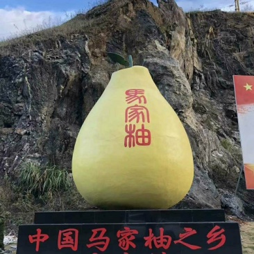 【有好货】江西广丰马家柚红心柚脆甜可口你从未吃过的柚子