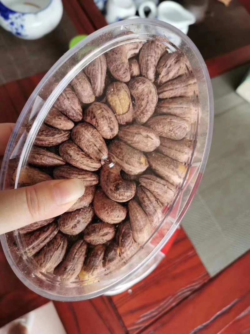 纯进口越南大腰果一件代发