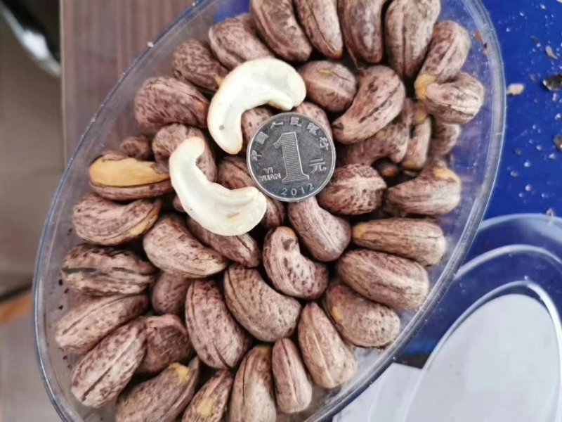 纯进口越南大腰果一件代发
