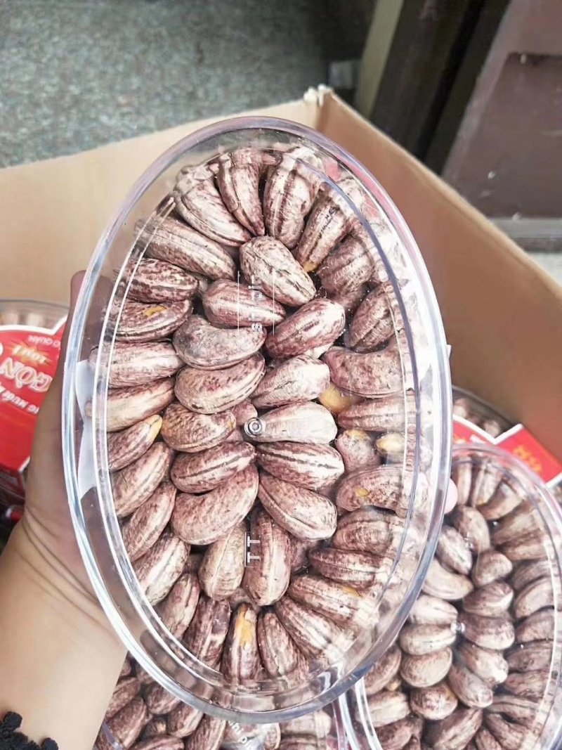 纯进口越南大腰果一件代发