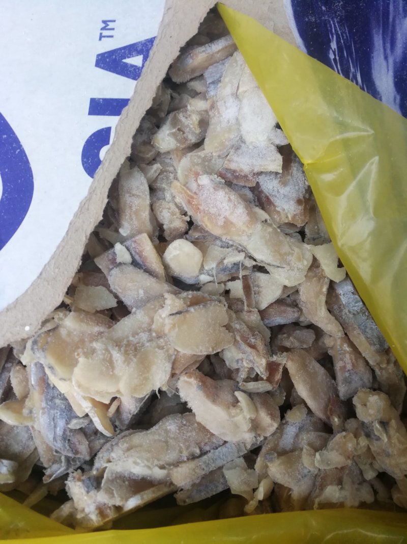 无刺刀鱼肉