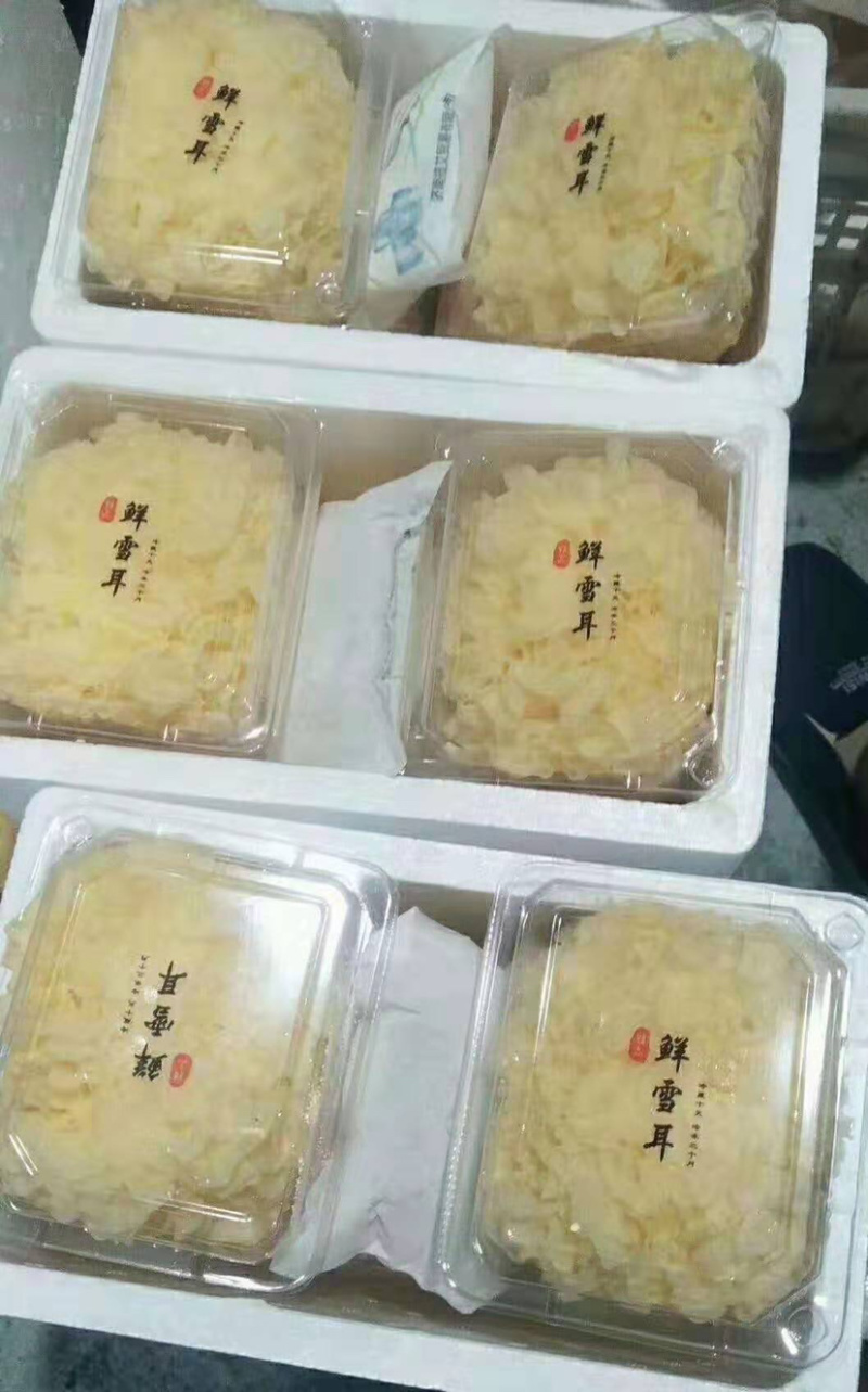 【有好货】古田活银耳-鲜银耳-独立包装质量保障现货
