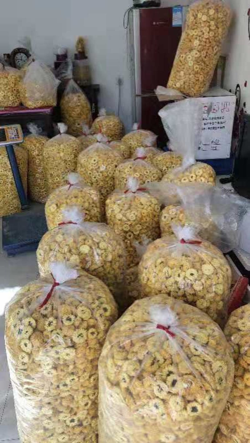 婺源皇菊