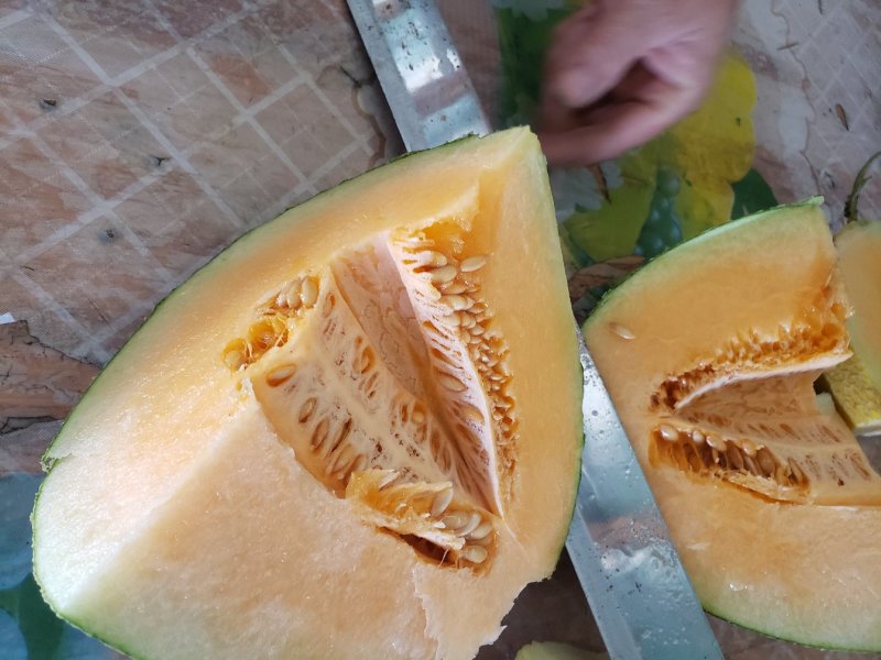自种自销