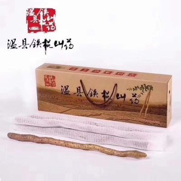 河南温县正宗铁棍山药，现挖现发，一件代发