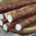 河南温县正宗铁棍山药，现挖现发，一件代发