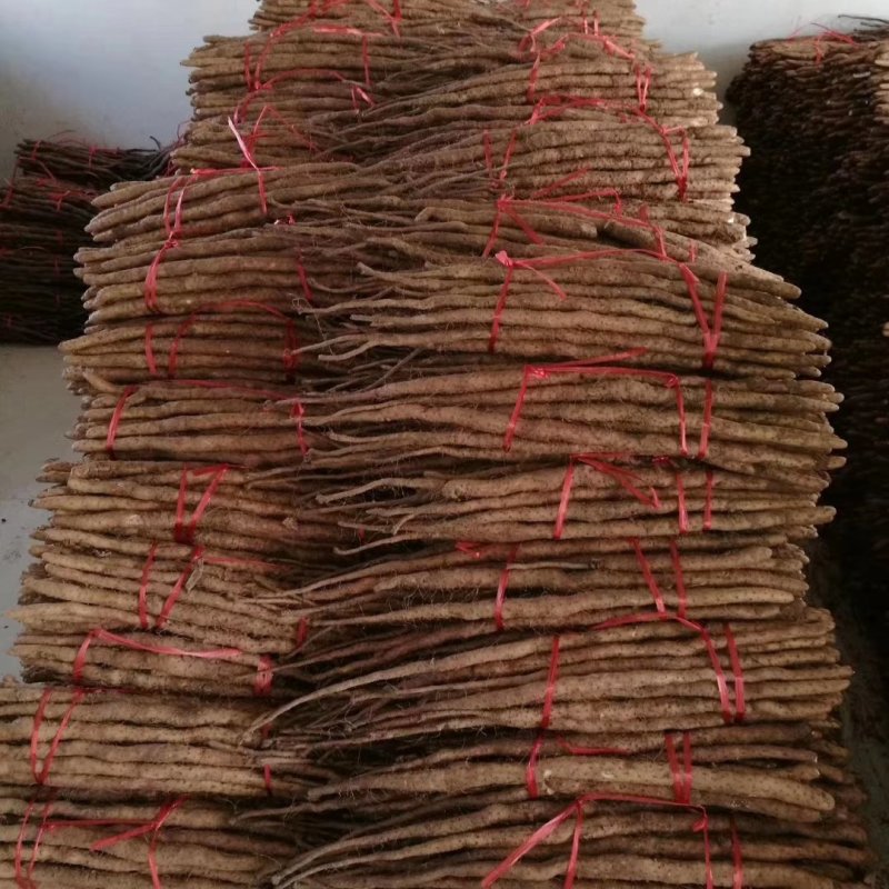 河南温县正宗铁棍山药，现挖现发，一件代发