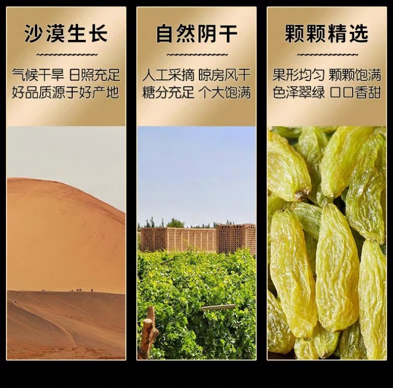 大果绿香妃天然风干晾晒产地批发代发