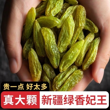 大果绿香妃天然风干晾晒产地批发代发