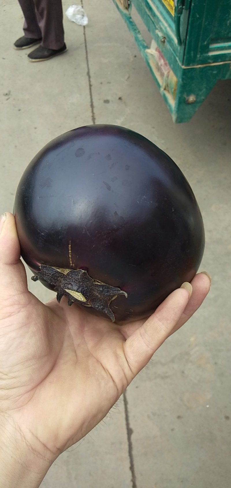 河北茄子精品紫光圆茄一手货源，产地现货，价格便宜