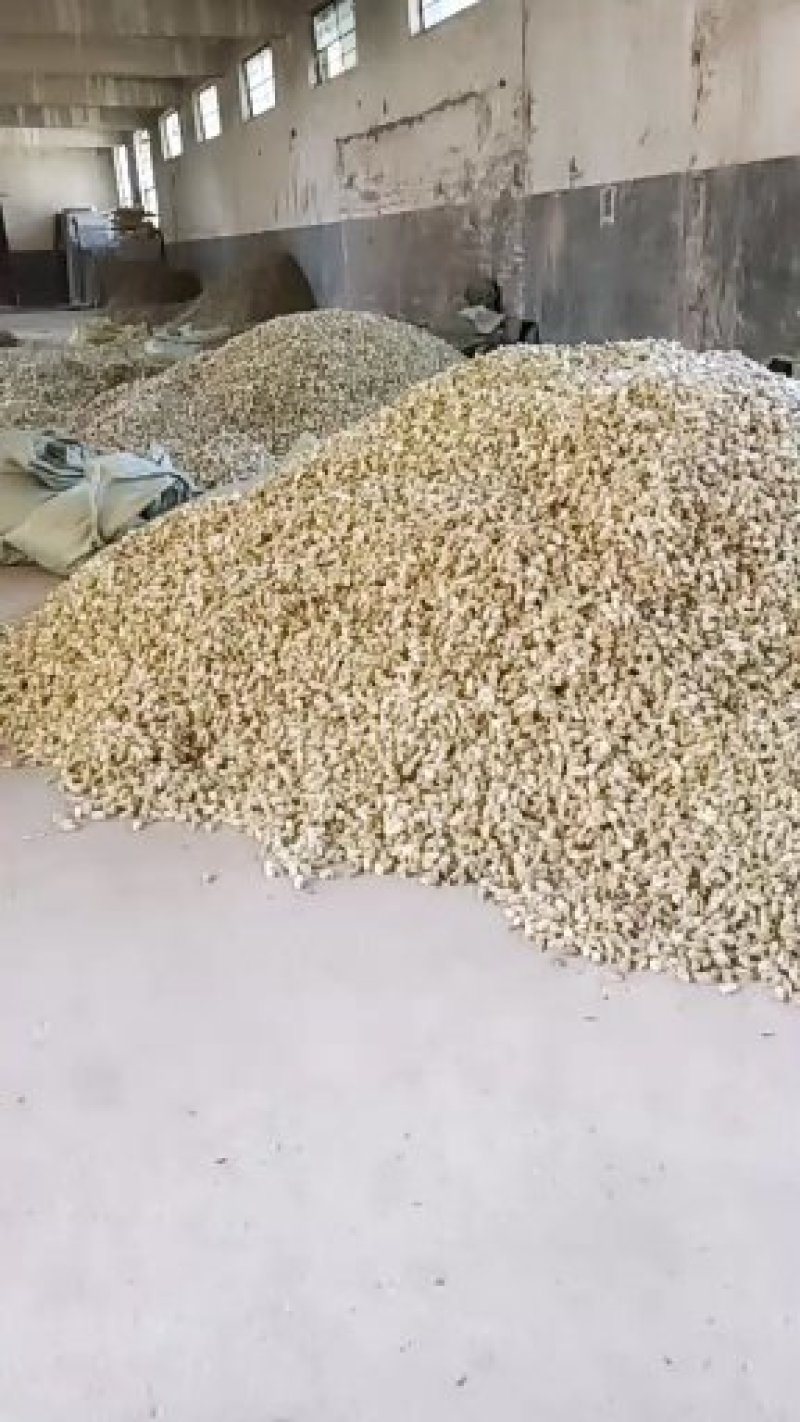 辛夷五香粉专用低于市场价可协商毛桃