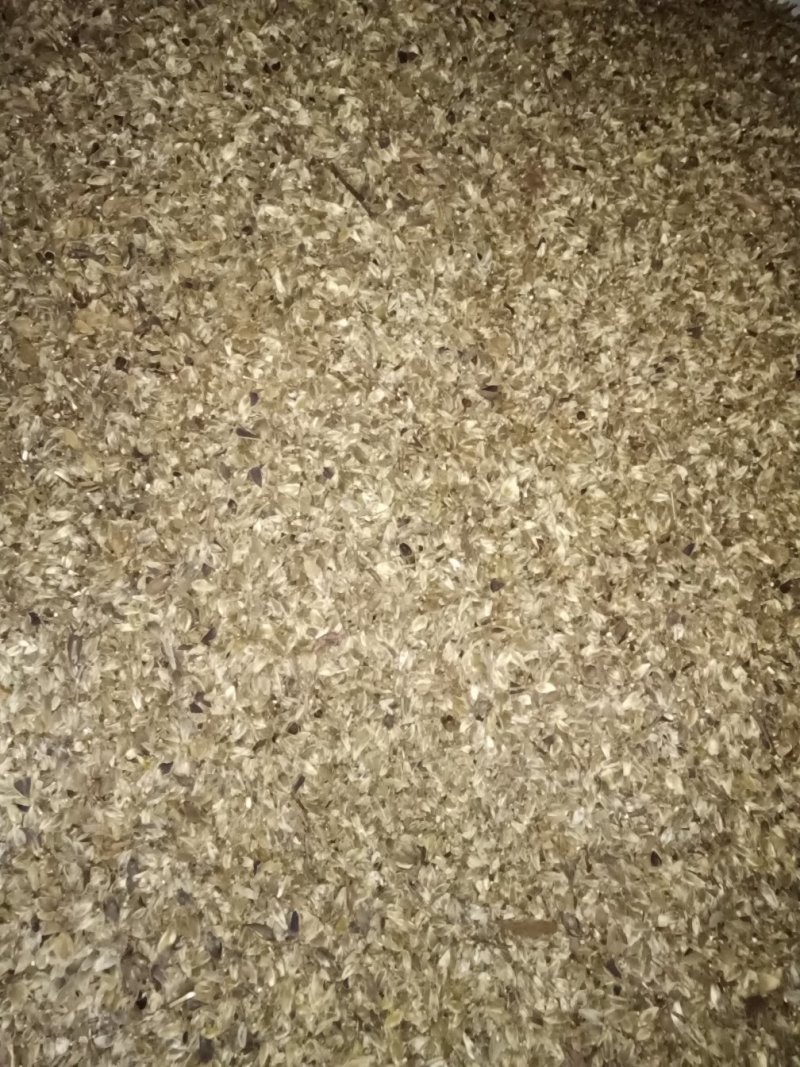 辛夷五香粉专用低于市场价可协商毛桃