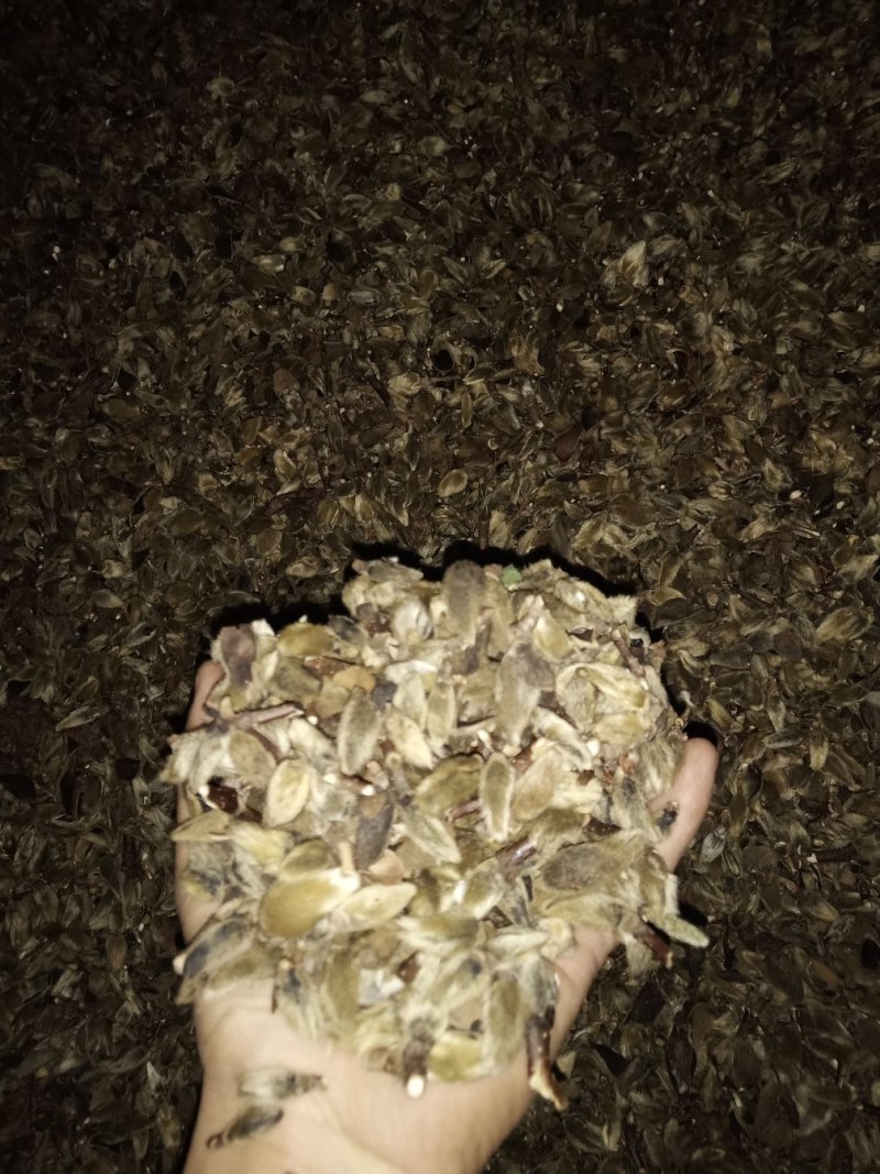 辛夷五香粉专用低于市场价可协商毛桃