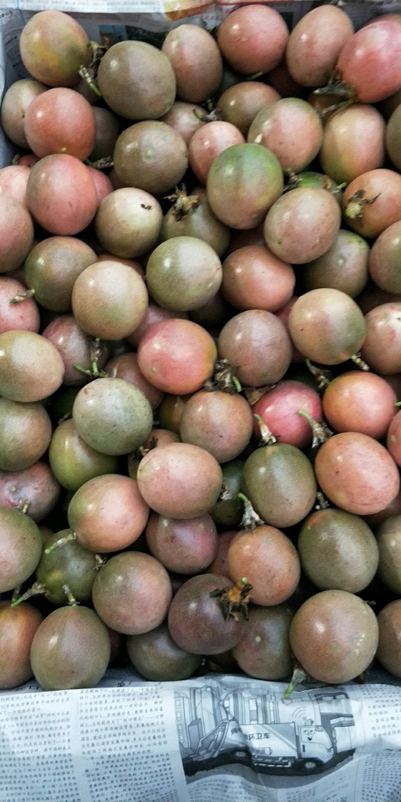 百香果大果