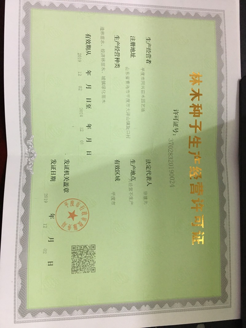 山东新品种葡萄苗优质兰宝石葡萄苗基地直供