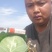 中甘甘蓝～江苏基地～绿球～，无虫～颜色亮～产地供应有保证