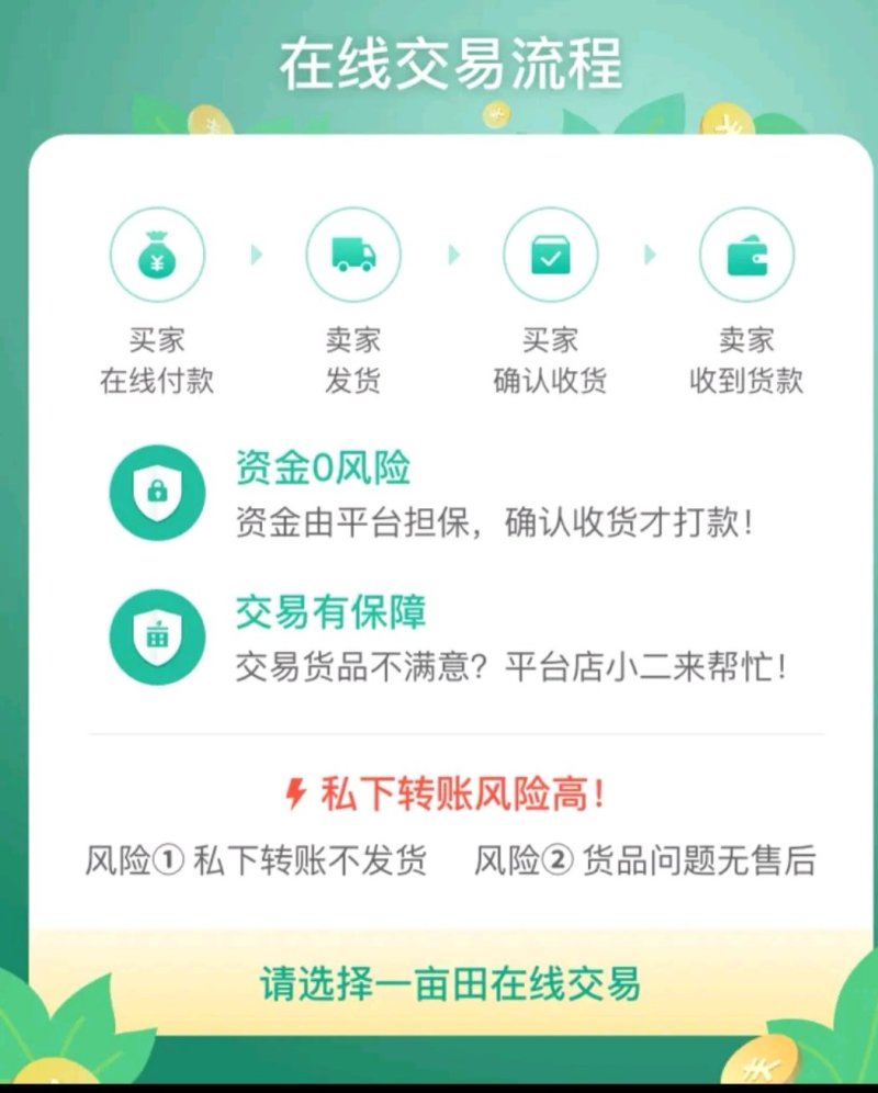 荔枝味百香果苗品种优良市场竞争力强包邮包挂果