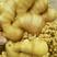 姜种，生姜，大黄姜小黄姜沙姜精品对接批发商超价优直供