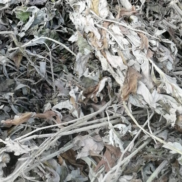 全颗艾包切段足浴包专用！