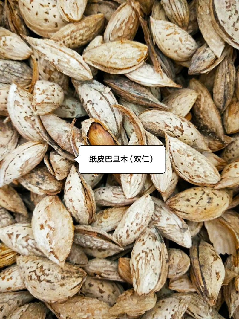 新疆巴旦木薄皮一件代发原产地直供巴旦木仁