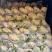 山东主产地新鲜菜花大量现货供应