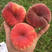 美国红蟠桃桃树苗优质嫁接苗个大味甜高产品种齐全