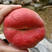 美国红蟠桃桃树苗优质嫁接苗个大味甜高产品种齐全