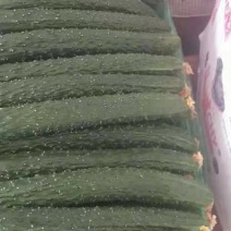 黄瓜