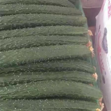 黄瓜