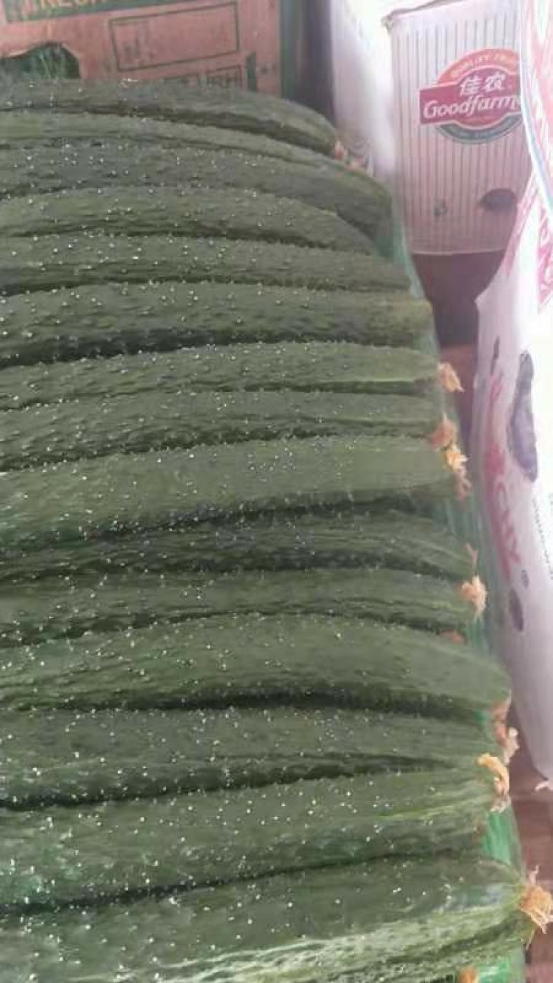 黄瓜