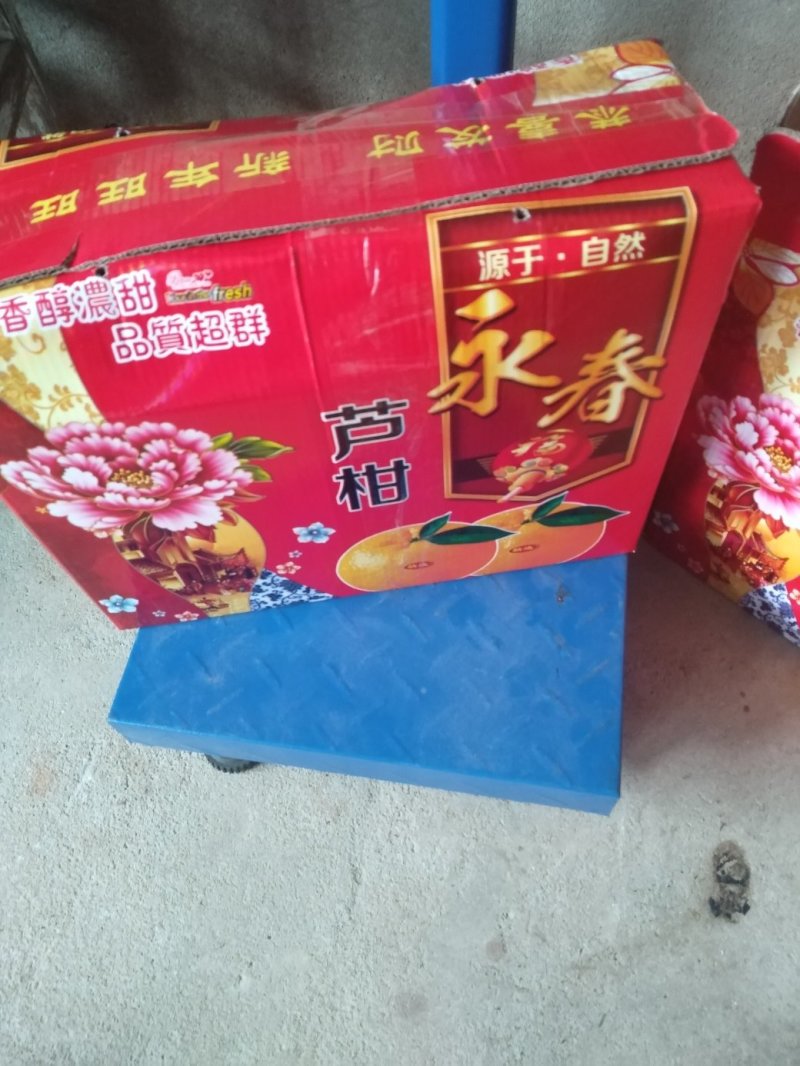 赵华山，圆生太芦柑全国包邮