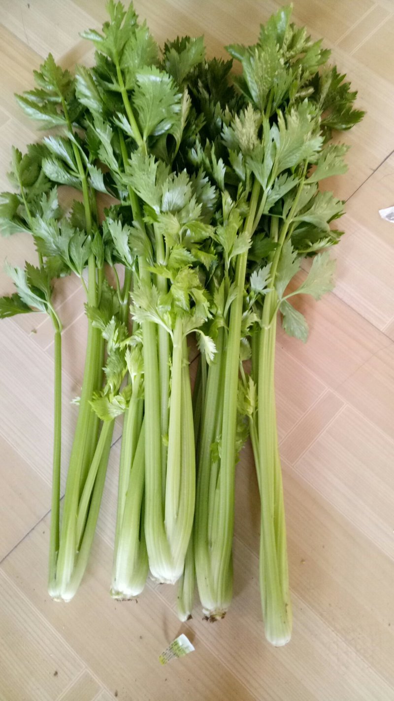 优质芹菜大量上市中！大量有货！需要的客户速联系我！