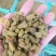 无核葡萄干酸甜可口休闲零食
